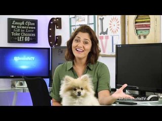 "Monica Iozzi" em vídeo intimo; Dr. Rey nu; Britto Jr. demitido e muito mais - #ASemanaNaTV Ep.26