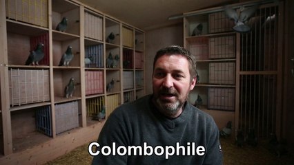 Stéphane Dubois, le colombophile Charentais