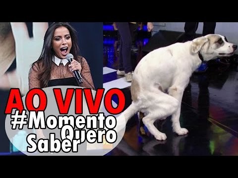 [AO VIVO] Polêmica: ANITTA caga pro dinheiro e o cachorro pro FAUSTÃO | #MomentoQueroSaber