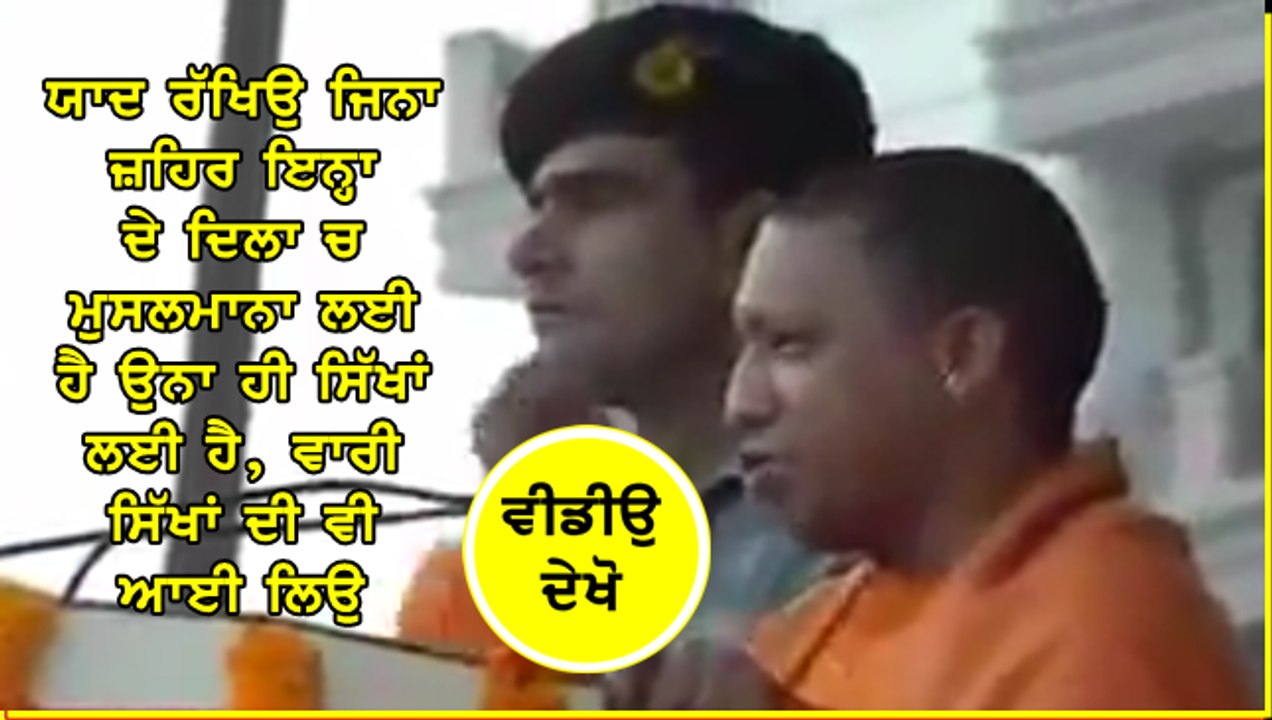 Yogi