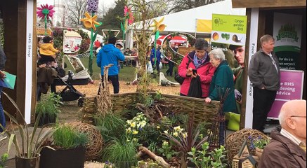 RHS Flower Festival Blooms in Cardiff