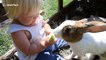 Toddler and rabbit take turns eating an apple until the rabbit gets tired of sharing