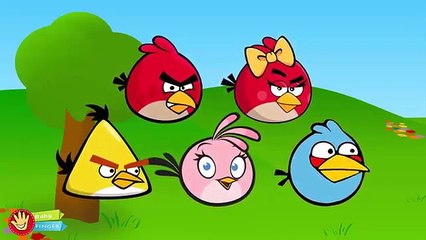Angry Birds Nursery Rhymes | Nursery Rhymes for Kids