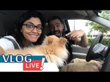 Vlog Live: O que nosso CACHORRO tem?