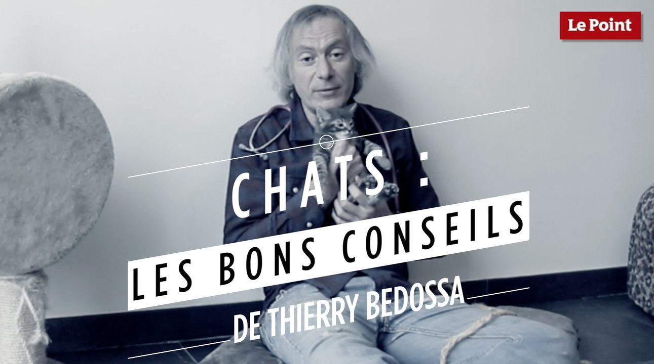 Thierry Bedossa : Comment bien entretenir son chat ?
