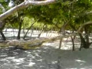 PLAGE DE DE GUADELOUPE