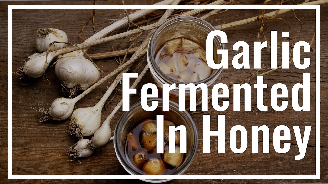 How To Make Garlic Fermented In Honey || Le Gourmet TV Recipes