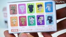 Nyanboard ~ Cat in Danboard - Kawaii Surprise Blind Bags/Boxes