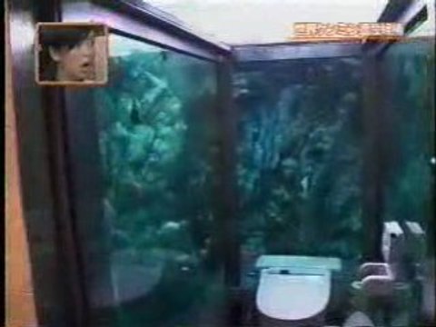Toilettes Aquarium au Japon