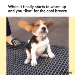 When it finally starts to warm up and you *live* for the cool breeze