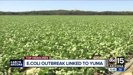 E. Coli outbreak linked to Yuma, Arizona