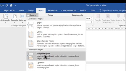 Como inserir numeração de página a partir de qualquer página no WORD
