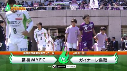 ガイナーレＴＲＩＢＥ