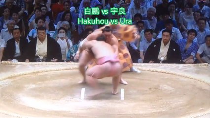 Sumo Digest[Nagoya Basho 2017 Day 08, July 16th]20170716名古屋場所8日目大相撲ダイジェスト