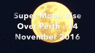 Super Moon Rising Over Perth