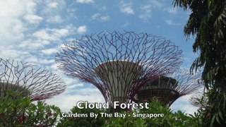 Cloud Forest - Gardens The Bay - Singapore