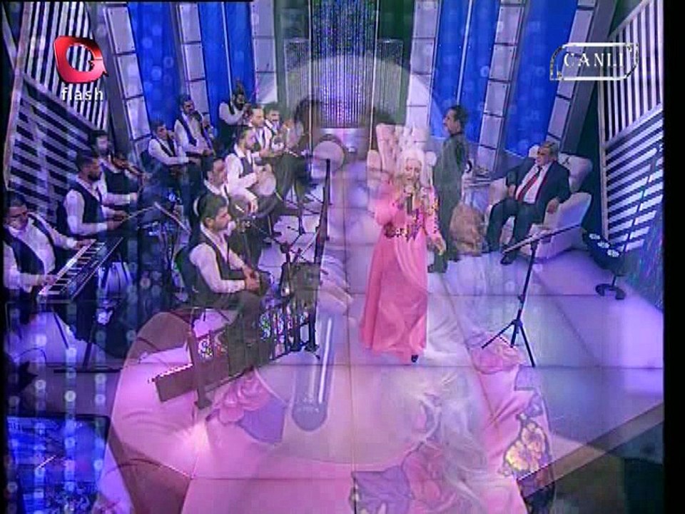 AYNUR HAŞHAŞ - Yeşil Ördek gibi