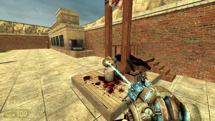 I Killed Link! - Garry's Mod