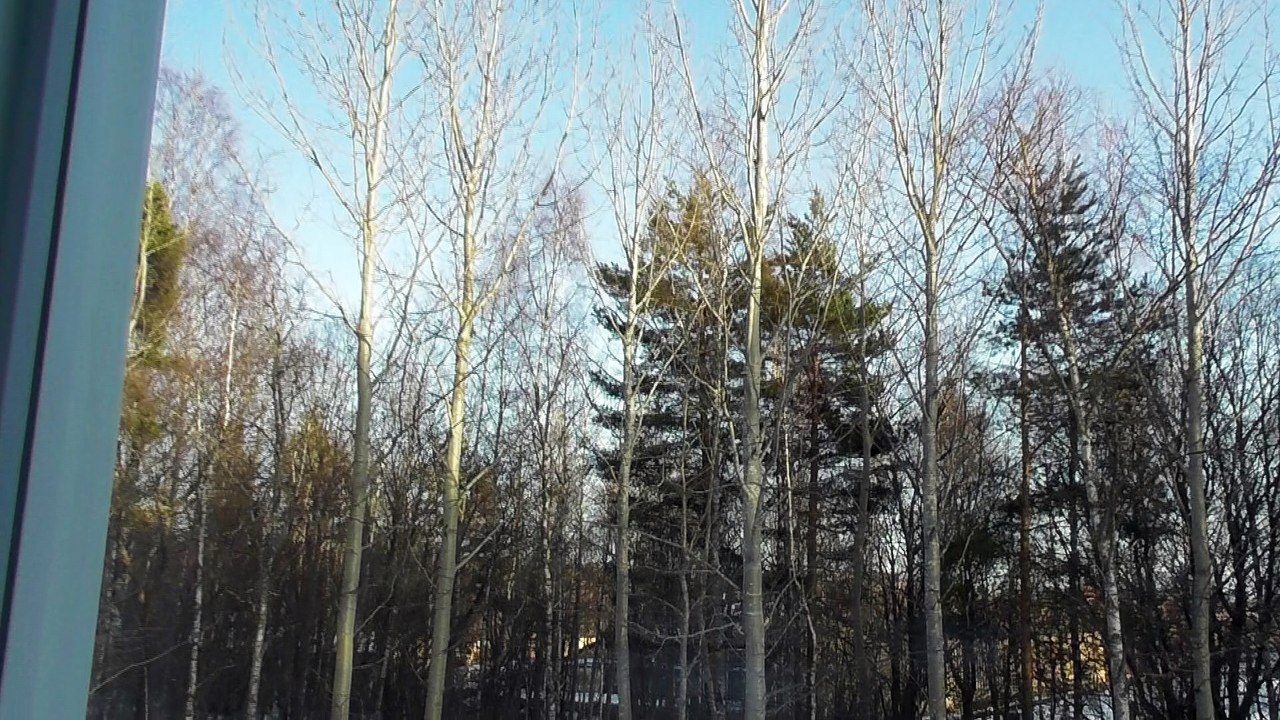 Apr 13 2018 DL12