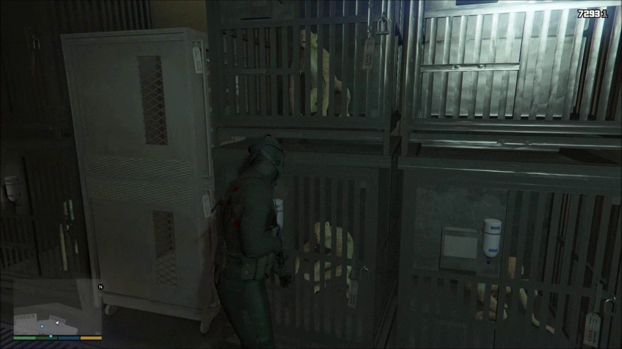 Grand Theft Auto V: C3 # 49 - Monkey Business