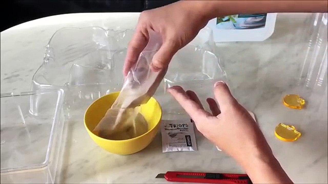 Triops züchten Tag 1 [Amazon Triopseier] (3.Zucht)