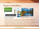 WordPress - Introduction to Most Popular Plugins