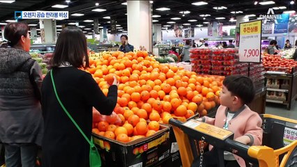 저렴해진 미국산 오렌지 ‘공습’…한라봉 ‘비상’