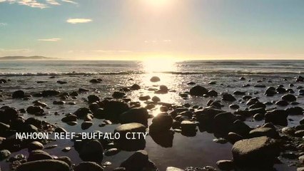 Adrénaline - Surf : BC18-D1-HIGHLIGHTS