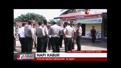 16 Napi Kabur Dari Penjara, Diduga Keterlibatan Oknum