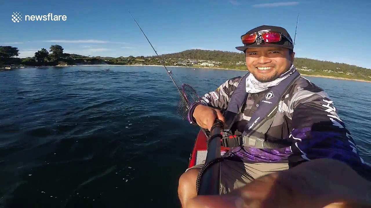 Close encounter with dolphins on a kayak