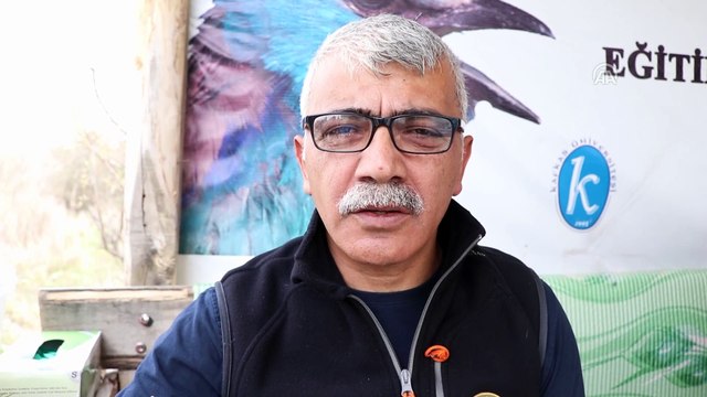 Tedavi edilen kerkenez doğaya bırakıldı - IĞDIR