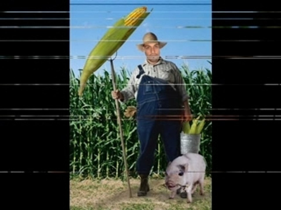 GITAN FAMILLIA  TRABOUKO