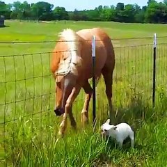 Biz en iyi arkadaşız, değil mi - We are best friends, aren’t we