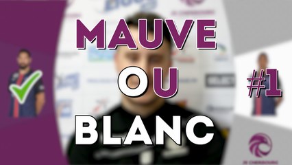 Mauve ou Blanc #1 (ft. Valentin Tarico)