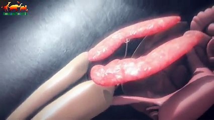 SUPER KILLER. KILLER WHALE FULL HD - Documentary Films 2018 on Amazing Animals TV