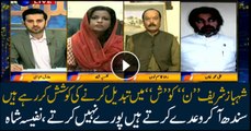 Shehbaz Sharif comes to Sindh and does not fulfill the promises, Nafeesa Shah