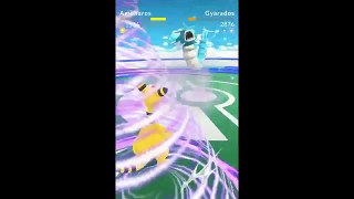 Pokémon GO Gym Battles!Hitmontop,Porygon2,Kingdra,Feraligatr,Ampharos