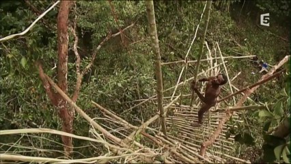 F5 - Les Korowai, Peuple des Arbres - 2012 (46:29)