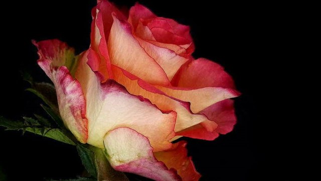 Musique de Yiruma - River Flows In You