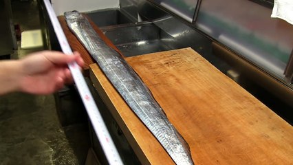 1.5メートルの太刀魚を捌く～握りになるまでとお刺身の作り方　寿司屋の仕込み　how to fillet a Beltfish and make sushi