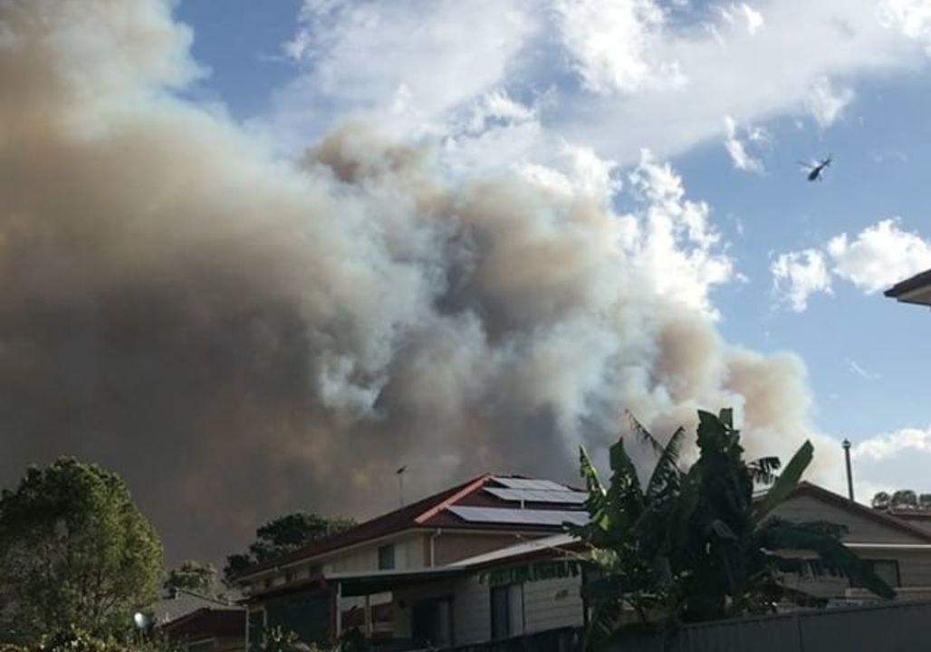 Plumes of Smoke Rise From Bushfire in South Sydney