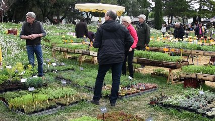 Sérignan-du-Comtat : "Plantes rares et jardin naturel" fête ses 20 ans