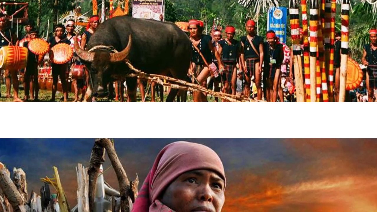 VIETNAM CYCLING CENTRAL HIGHLAND - Vietnam Cycling Tours