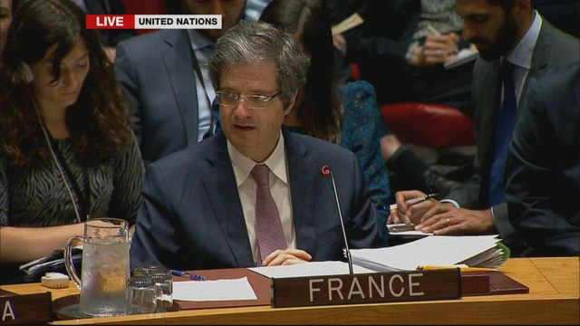 Syria strikes:UN Security Council meeting - France