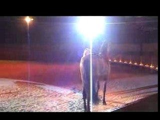 Utopia Eleuteria-CLIP 2007-Spectacle Equestre-Horse show