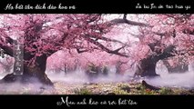 [Vietsub+pinyin] Mưa hoa đào MV - Hoắc Tôn《Tam sinh tam thế thập lý đào hoa》- 桃花雨 - 霍尊《三生三世十里桃花》片尾曲