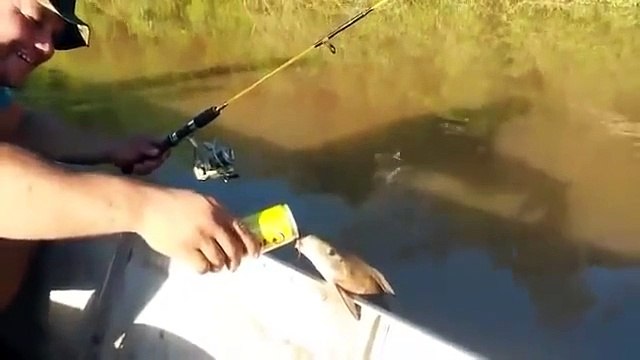 Un pecheur donne à boire à un poisson... Un peu de bière