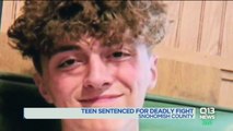 Teen Sentenced to Year in Jail for Killing Classmate in Fight Despite 30-Day Sentence Recommendation