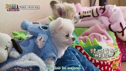 [Sub Esp] Lovelyz: The Man Who Feeds the Dog 2 - Ep. 02