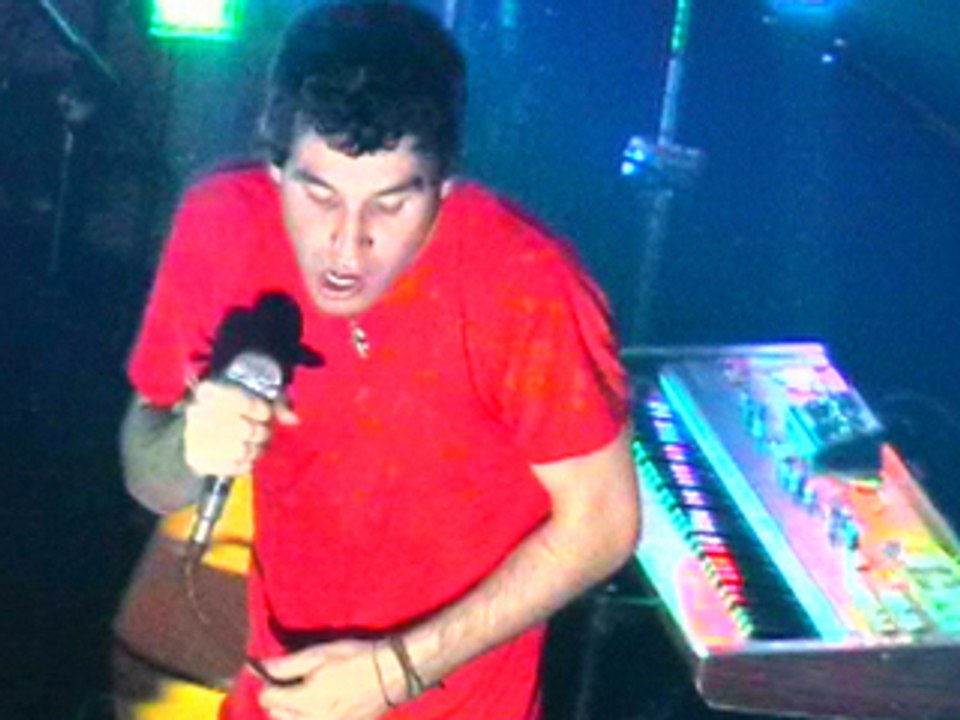 Animalcollective1
